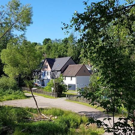 Naturferienhaus Luppbodemühle Allrode Exterior foto