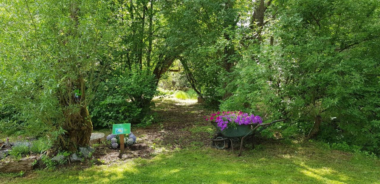 Naturferienhaus Luppbodemühle Allrode Exterior foto