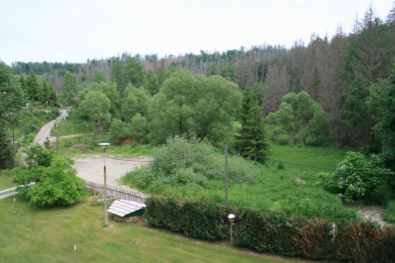 Naturferienhaus Luppbodemühle Allrode Exterior foto